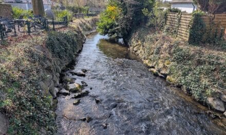Streitschlichter für den Stadtnorden gesucht