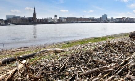 Kunstworkshop im SchifffahrtMuseum in den Herbstferien