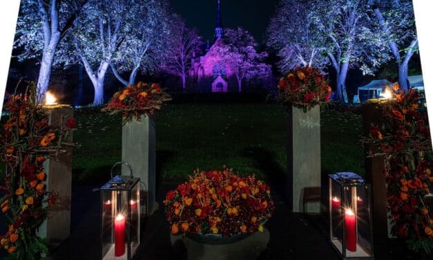 Landeshauptstadt illuminiert den Nordfriedhof