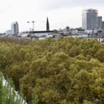 „Unterwegs im Grünen“: Städtische Führungen im&nbsp;März