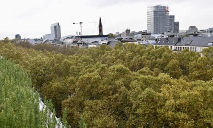 Unterwegs im Grünen: Herbstliche Führung im November und Advent-Waldbaden im Dezember