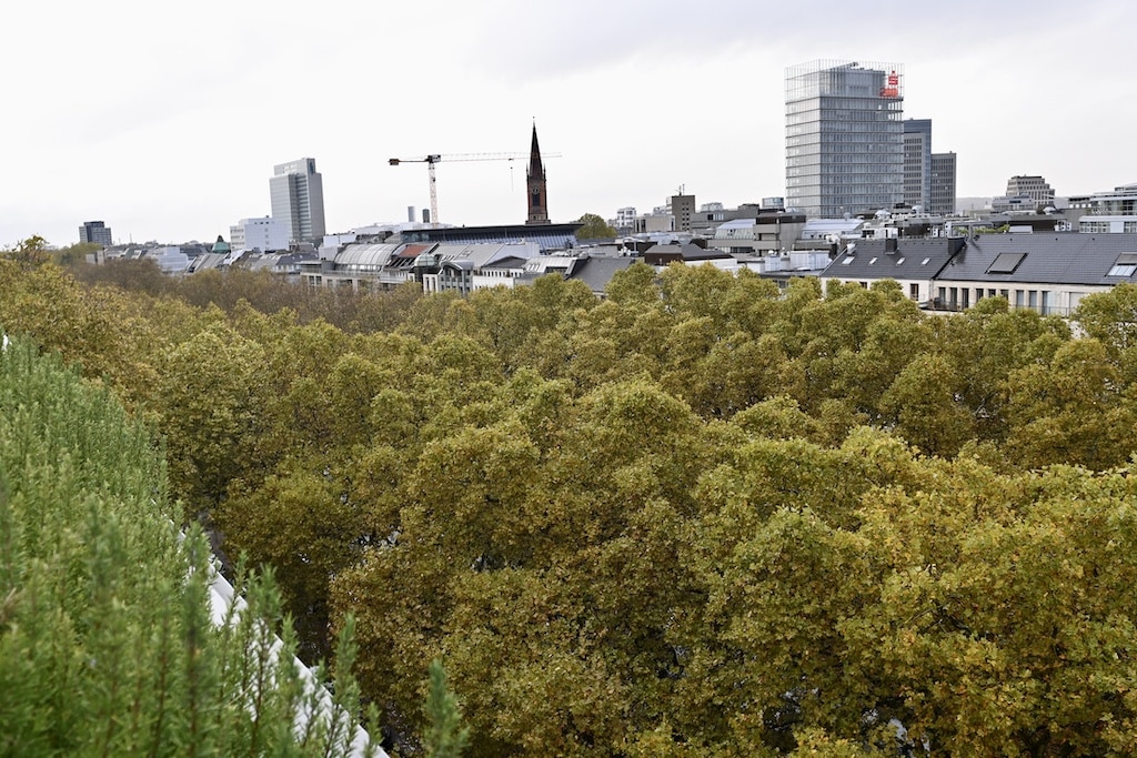 Symbolbild Unterwegs im Grünen @ Lokalbüro