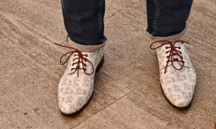 Stadtradeln 2025: Ehrung der besten Düsseldorfer Teams im Rathaus