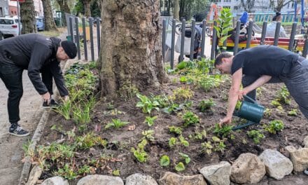 Zukunftspreis Düsseldorf 2025: Finale Abstimmung startet
