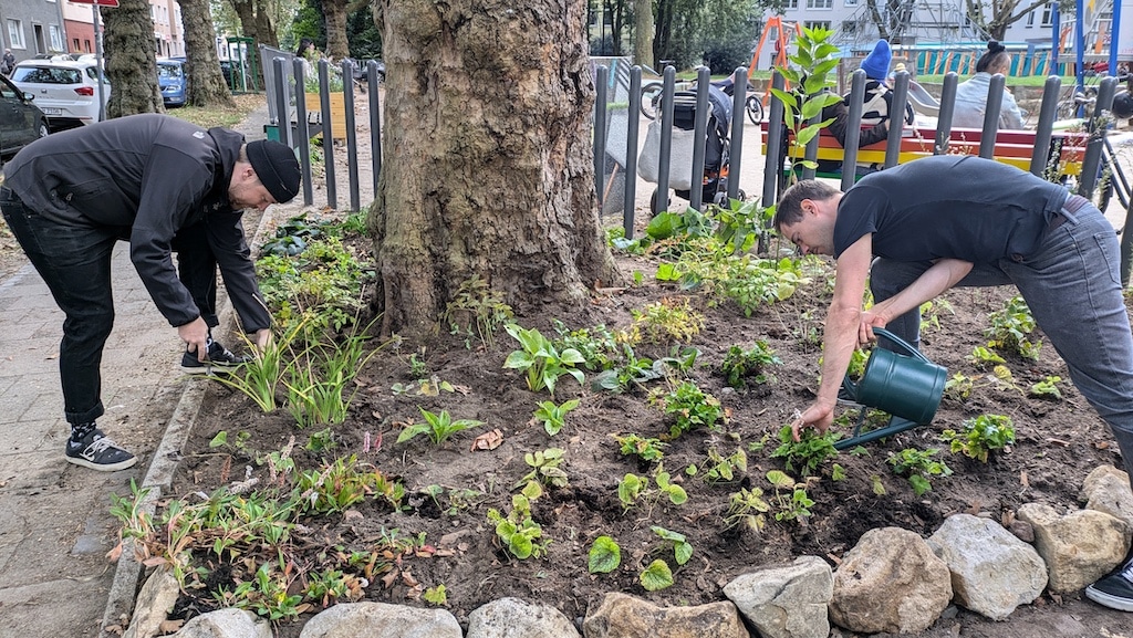Die Nachbarschaftsinitiative "Hermann blüht auf" gestaltet den Hermannplatz in Flingern-Nord mit Baumscheibenbepflanzungen und Hochbeeten aus heimischen, insektenfreundlichen Pflanzen © Hermann blüth auf