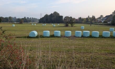 Nur der Supermarkt gibt keine guten Impulse