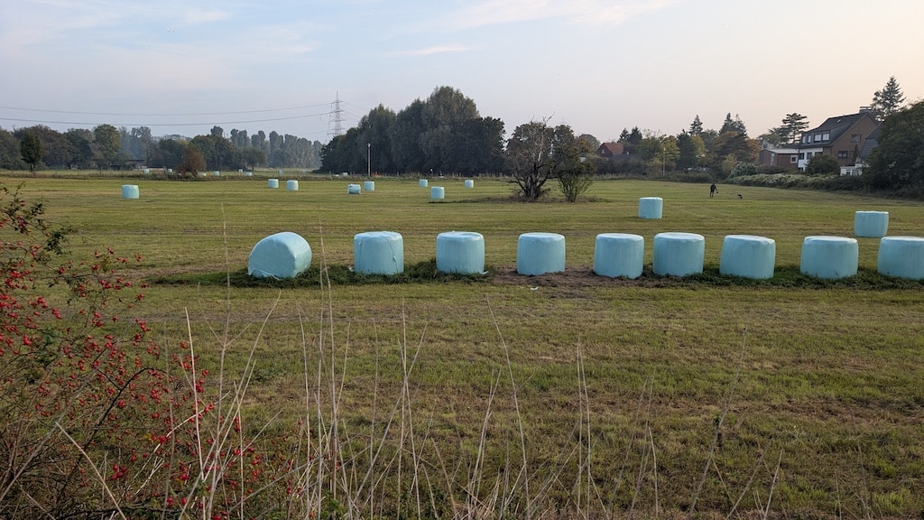 Noch ist die grüne Wiese Am Fettpott leer © Gabriele Schreckenberg