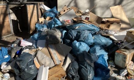 Ermittlungserfolge für Düsseldorfer Mülldetektive: In Flingern und Hassels wurden weitere Fälle aufgeklärt