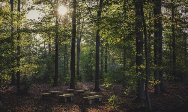 Wie persönliche Vorsorge geht