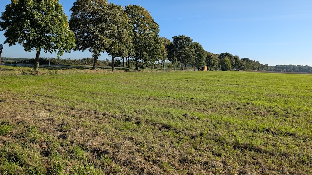 Auf dieser Wiese gegenüber des Schützenplatzes Kalkum soll möglicherweise die neue Feuerwache Kalkum entstehen © Gabriele Schreckenberg