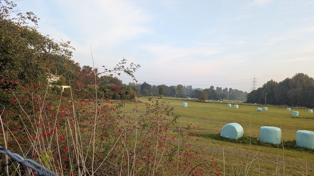 Auf dieser Wiese Am Fettpott soll die neue Ortsmitte von Angermund entstehen. So will es nicht nur die Politik, auch die Institutionen und Vereine© Gabriele Schreckenberg