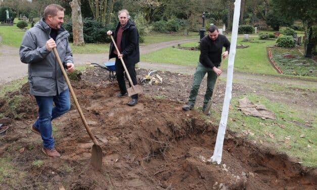Bergulme aus städtischem Genpool wächst nun auf dem Nordfriedhof