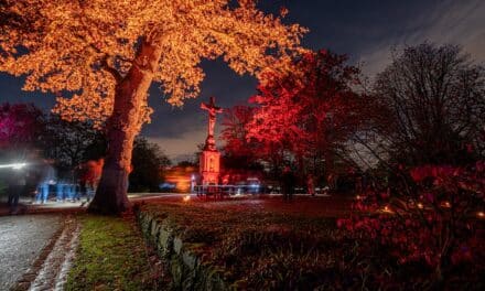 Farben des Gedenkens – Der Nordfriedhof Düsseldorf erstrahlt zu Allerheiligen