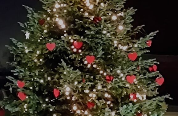 Der Tannenbaum leuchtet in Angermund