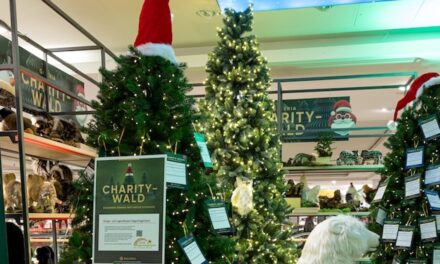 GALERIA eröffnet Charity-Wald am 14. November mit Jana Ina Zarrella und Fortuna-Legendenspieler Oliver Fink