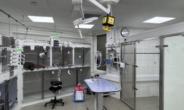Tierklinik Düsseldorf baut Intensivstation aus – eine der größten in Deutschland