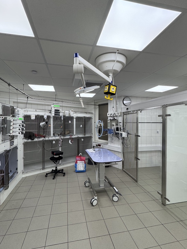 Tierklinik Münsterstraße © Tierklinik Tierklinik Münsterstraße © Tierklinik