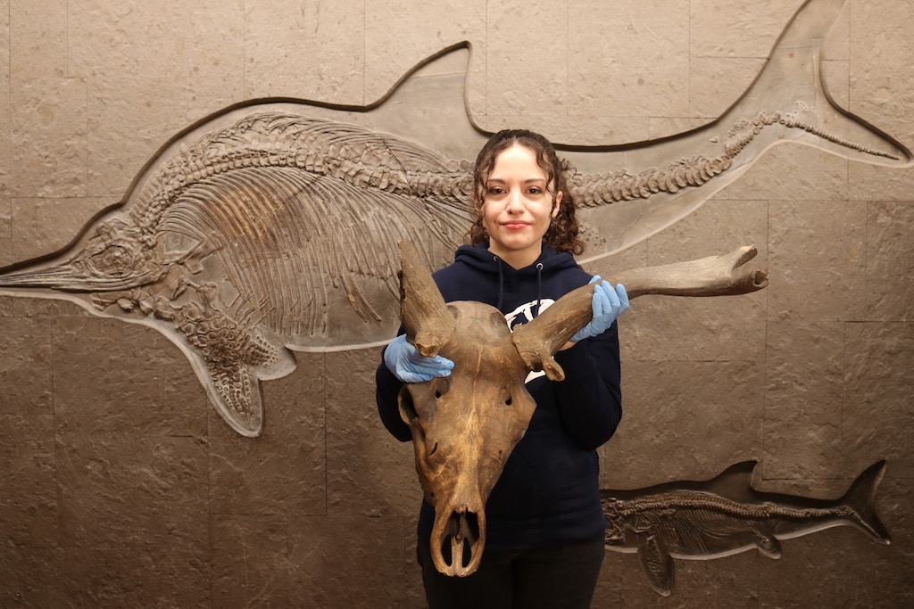 Aquazoo Löbbecke Museum