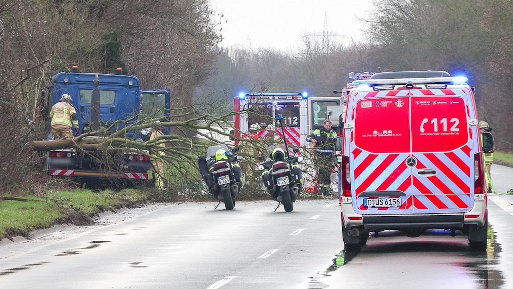 Schwerer Unfall: LKW krachte gegen Baum © Patrick Schüller