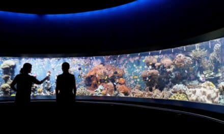 Aquazoo Löbbecke Museum: Polierarbeiten am Riff-Aquarium