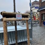 Ein Baum für die Zukunft