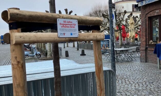 Ein Baum für die Zukunft