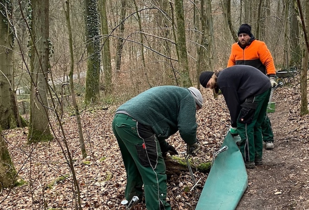 Um die bedrohten Tiere zu schützen, stellt die Stadt entlang der wichtigsten Wanderrouten und an Straßen Hinweisschilder und Schutzzäune für Kröten, Frösche und Molche auf, damit diese auf ihrem Weg zu den Laichgewässern nicht überfahren werden,(c)Landeshauptstadt Düsseldorf/Gartenamt