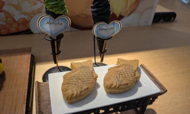 Vortrag über Japaner in Düsseldorf