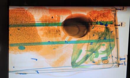 Zoll am Flughafen Düsseldorf hat Schwein gehabt