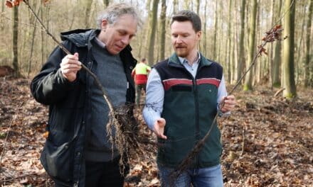 Mehr als 20.000 neue Bäume für Düsseldorfs Stadtwald