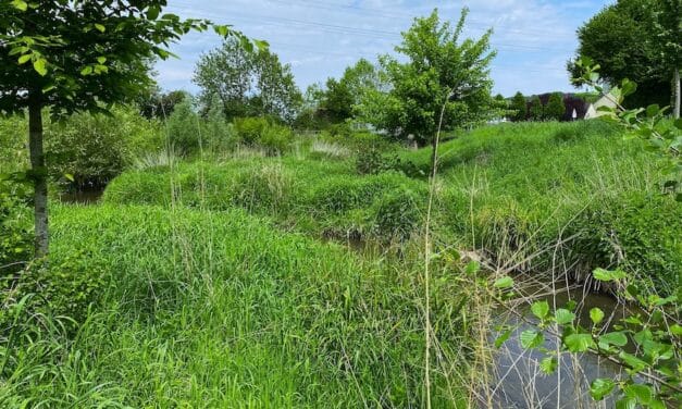 Zweiter Teil der Fotoausstellung „Klimaanpassung am Fluss“ jetzt auch online zu&nbsp;sehen