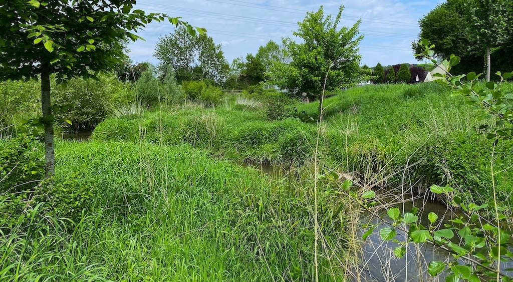 Wasserschlange/Serpent d‘eau © Stefan Kaufmann