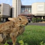 Osterferien im Aquazoo Löbbecke Museum
