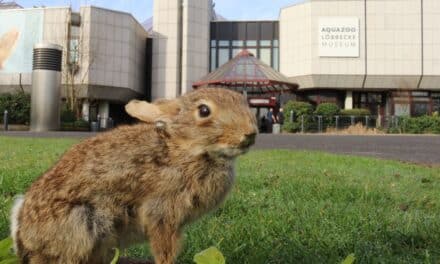 Osterferien im Aquazoo Löbbecke Museum