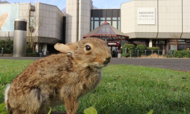 Osterferien im Aquazoo Löbbecke Museum