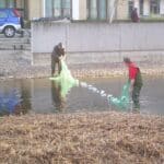 Fische aus Belsenpark-Teich umgesiedelt – Stadt sucht weiter nach Ursache der Leckage