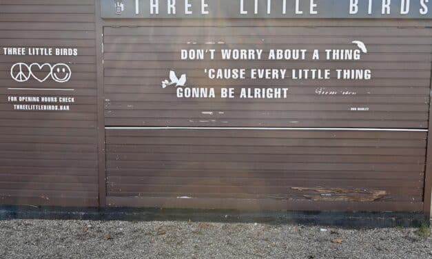 D.LIVE erklärt: Neuer Start für die Rheinterrasse – Ausschreibung des Biergartens im Sinn von Transparenz und fairem Wettbewerb