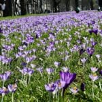 Automatisch gespeicherter Entwurf