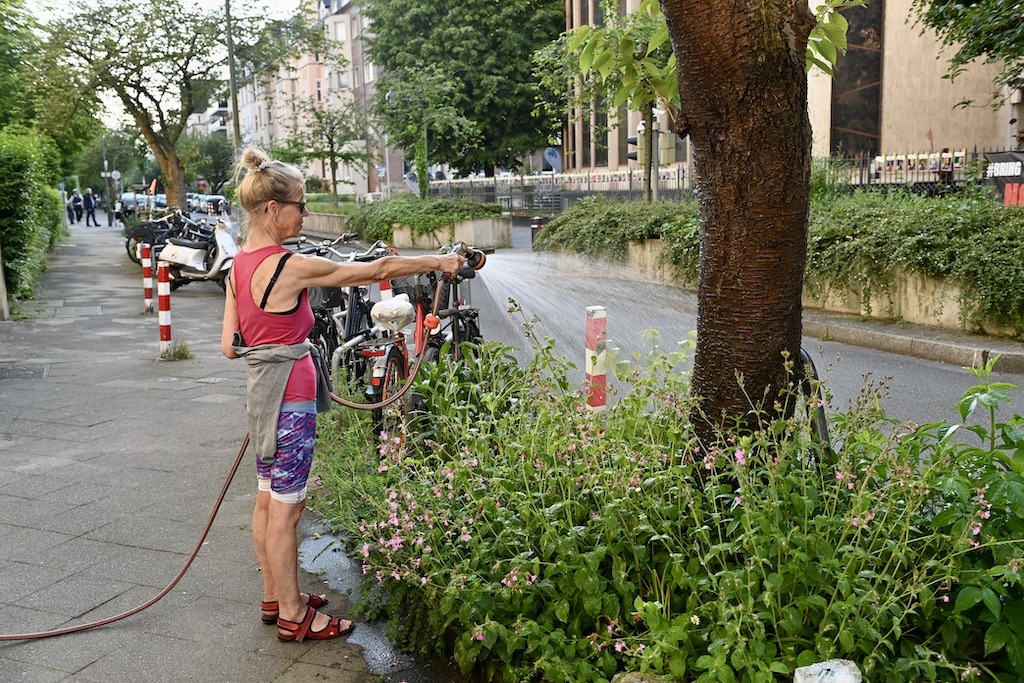 Symbobild Anwohner Bewässern die Bäume vor ihrer Haustür © Lokalbüro
