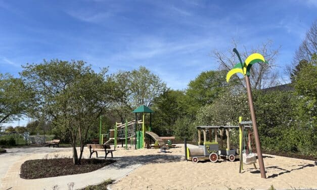 Neuer Dschungel-Spielplatz an der Nixenstraße eröffnet