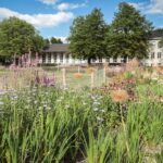 120 Jahre Gartenamt: Wie Düsseldorf sein grünes Gesicht bewahrt