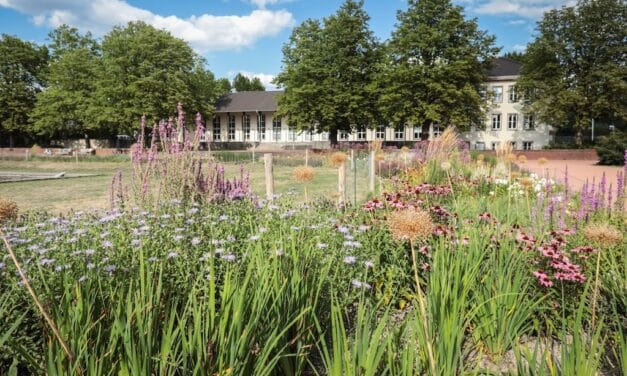 120 Jahre Gartenamt: Wie Düsseldorf sein grünes Gesicht bewahrt