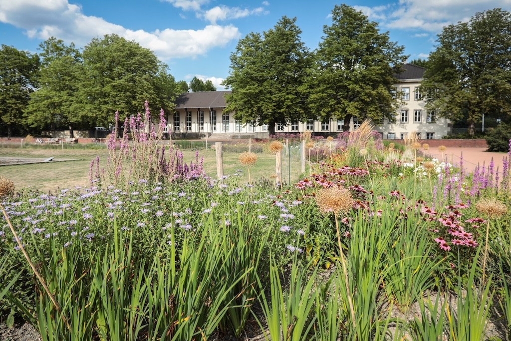 Fotos zur Geschichte 120 Jahre Gartenamt der Stadt Düsseldorf: Seit 1960 ist die Gartenamtsverwaltung im Nordpark. © Landeshauptstadt Düsseldorf/Gartenamt