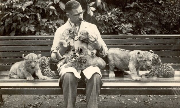 150 Jahre Zoo in Düsseldorf: Aquazoo lädt zum Jubiläumsprogramm ein