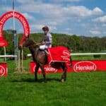 Frauen-Power auf dem Grafenberg: Spannendes Finale und Top-Stuten im&nbsp;Fokus