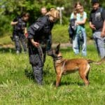 „Hundestaffel oder SEK?“ – Nachwuchs blickt hinter die Polizeikulissen