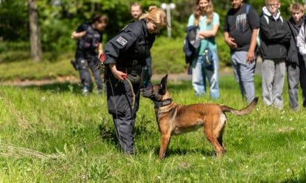 „Hundestaffel oder SEK?“ – Nachwuchs blickt hinter die Polizeikulissen