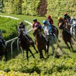 Emotionen pur auf dem Grafenberg: Indifferente triumphiert im Henkel-Stutenpreis