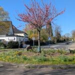 Kreisverkehrblühen in Angermund