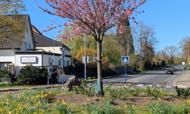 Kreisverkehrblühen in Angermund